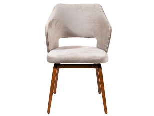 Luxury Chair
