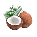 Tropical Coconut